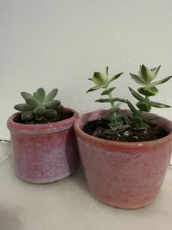 Ceramics studio photo 3